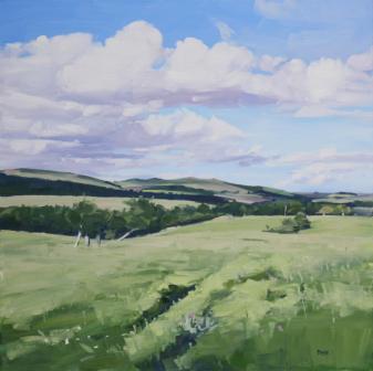 JOHN BELL - summer farmland, northumberland