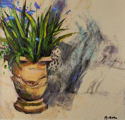 JOHN BROWN - agapanthus in a pot