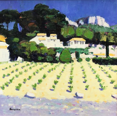 JOHN KINGSLEY - young vines, cassis