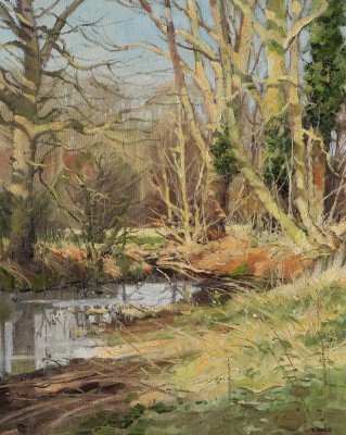 JOHN LINES - winters pond