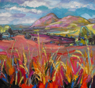 JUDITH BRIDGLAND - pink autumn grasses, dumgoyne          