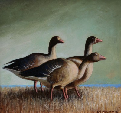 LOUIS S MCNALLY - sassy