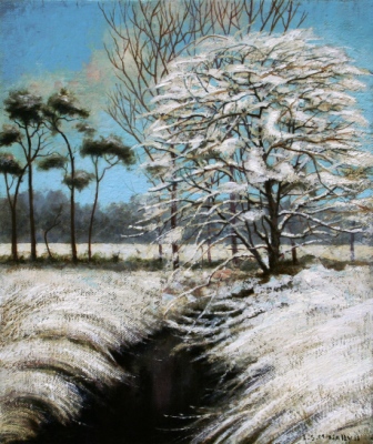 LOUIS S MCNALLY - snow