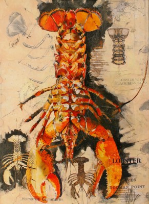 Lobster Sketch