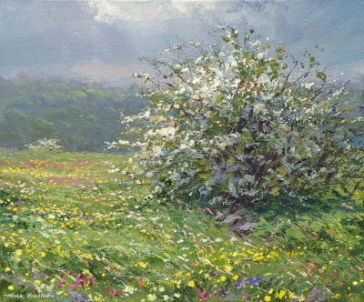 MARK PRESTON - mayblossom and buttercups, bonsall moor
