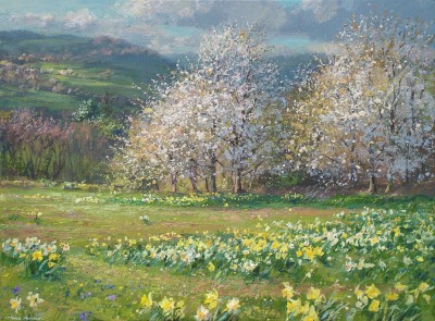 MARK PRESTON - wild cherry blossom and daffodils