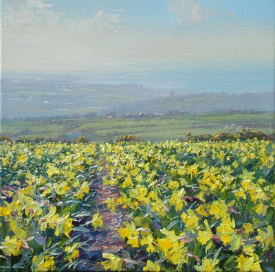 MARK PRESTON - spring morning, above ludgvan