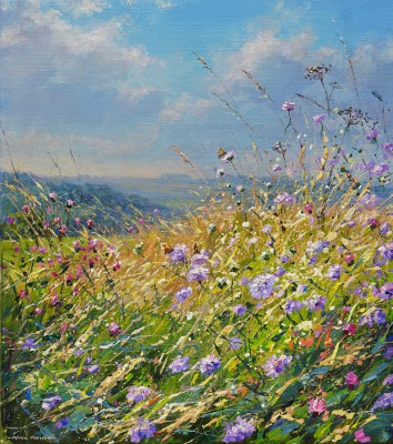 MARK PRESTON - meadow browns and scabious, bonsall moor