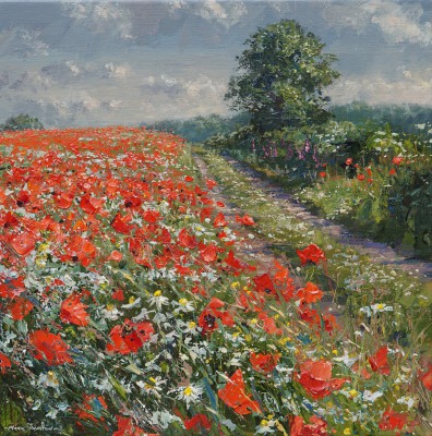 MARK PRESTON - poppies, mayweed and foxgloves, ednaston