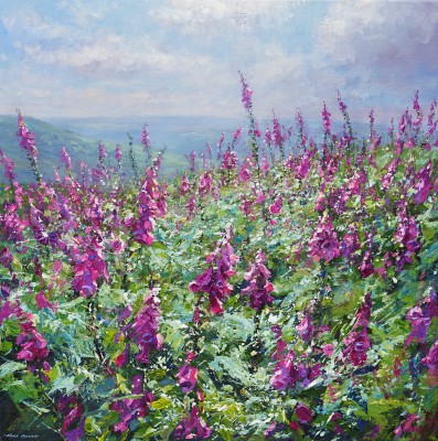 MARK PRESTON - sunlit foxgloves, bamford moor