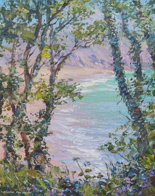 MARK PRESTON - through the trees, barafundle bay