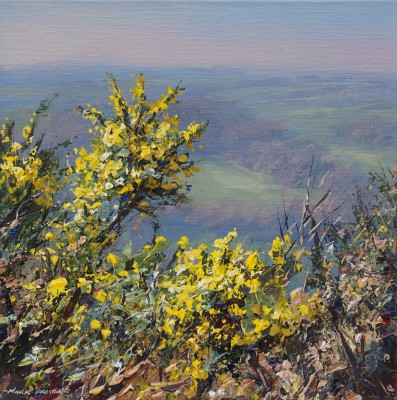 MARK PRESTON - sunlit gorse, ashleyhay