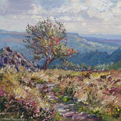 MARK PRESTON - mountain ash, eyam moor