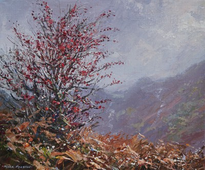 MARK PRESTON - sunlit hawthorn, rosthwaite