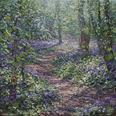 MARK PRESTON - sunlit bluebells, allestree wood