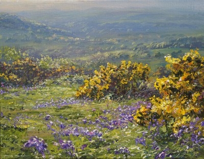 MARK PRESTON - bluebells and gorse, ashleyhay