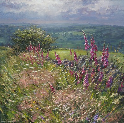 MARK PRESTON - derbyshire wall in summertime