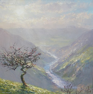 MARK PRESTON - november sunlight above dovedale