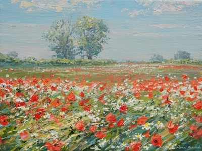 MARK PRESTON - poppy field, ednaston