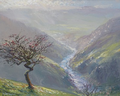 MARK PRESTON - sunshine and rain, dovedale