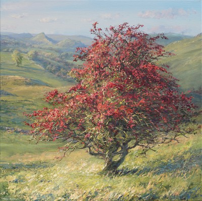 Autumn Hawthorn, Pilsbury