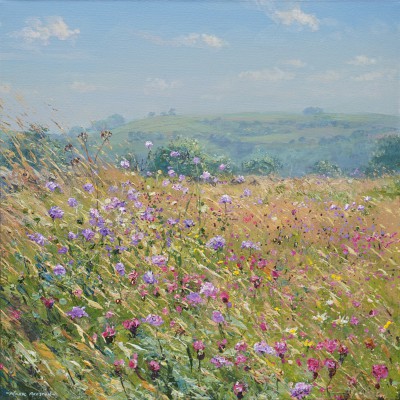 MARK PRESTON - meadow flowers, bonsall moor