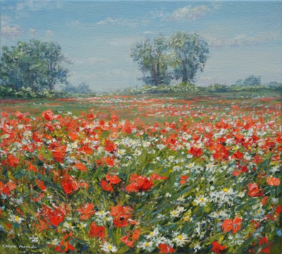 Blue Skies and Poppies, Ednaston