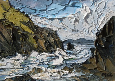 MARTIN LLEWELLYN - blustery day pembrokeshire