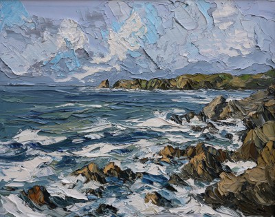 MARTIN LLEWELLYN - skomer island, pembrokeshire