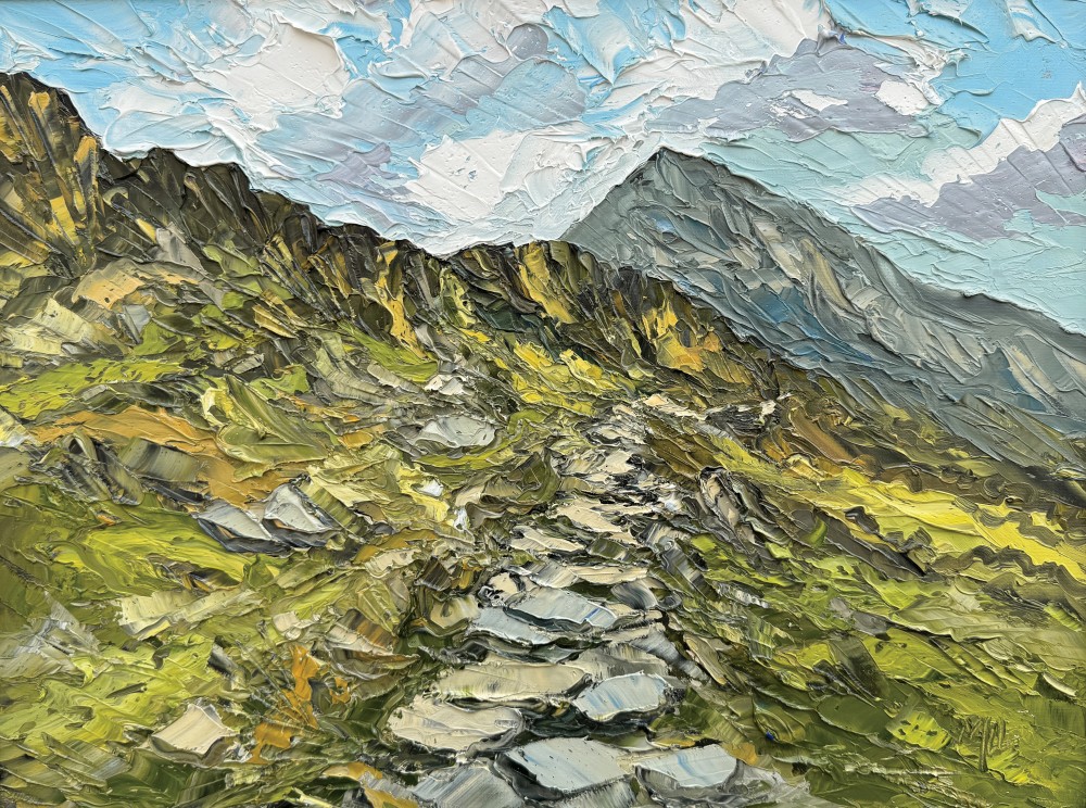 Martin Llewellyn - path towards yr wyddfa