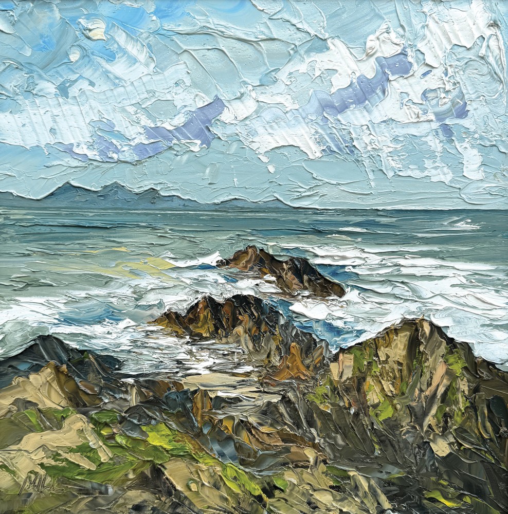 Martin Llewellyn - ynys llanddwyn