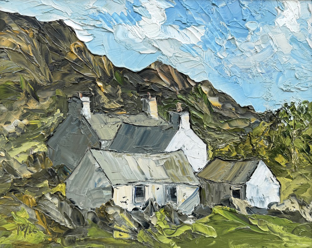Martin Llewellyn - cottages carn llidi
