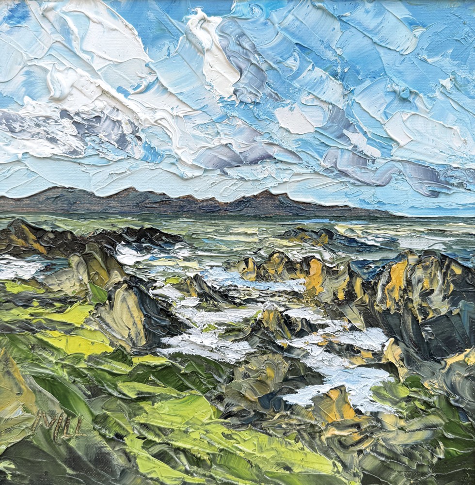 Martin Llewellyn - incoming tide, ynys llanddwyn