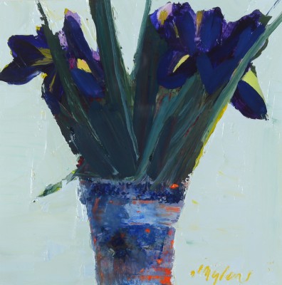 MHAIRI MCGREGOR - irises