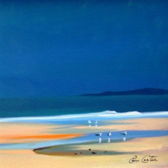 PAM CARTER - taransay sounds and colours