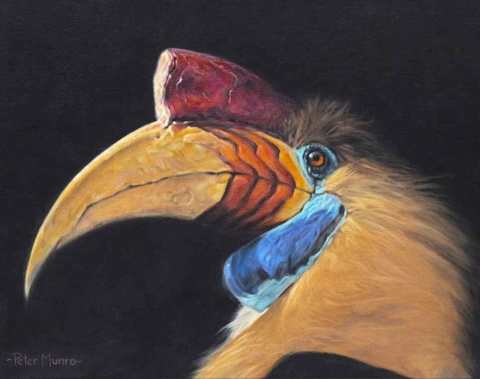 Scottish Artist PETER MUNRO - Hornbill