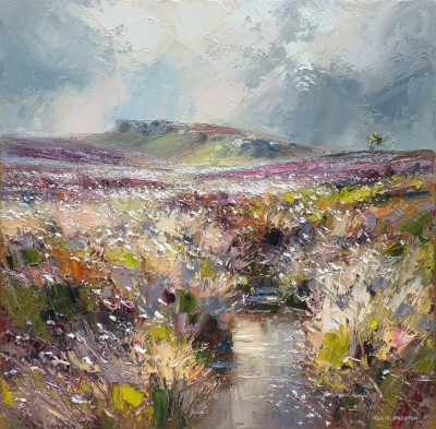 Cotton Grass near Stanage Edge, Derbyshire