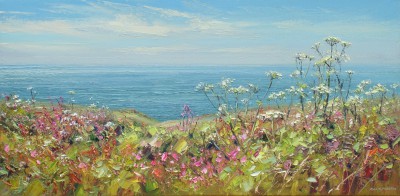 REX PRESTON - cow parsley and red campion, near morvah, cornwall