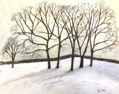 Winter Trees