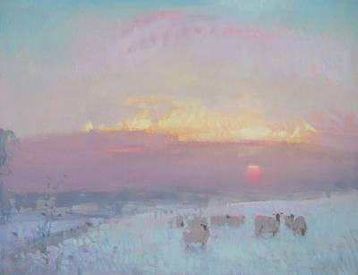 STEPHEN BROWN RBA - sheep at sunset