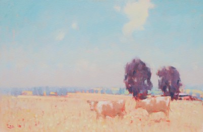 STEPHEN BROWN RBA - copper beech farm  