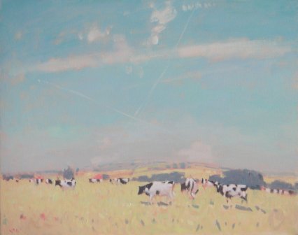 STEPHEN BROWN RBA - a view towards dartmoor