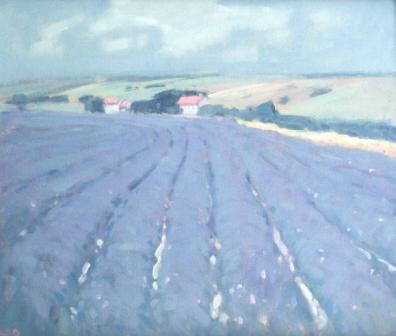 STEPHEN BROWN RBA - lavender at snowshill, gloucestershire