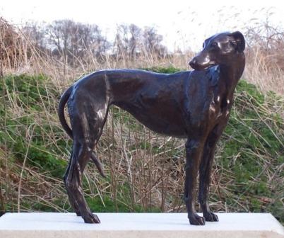 STUART ANDERSON - greyhound-lurcher