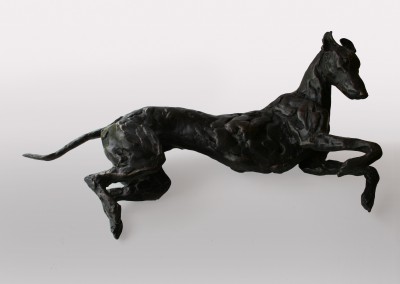 Rolling Greyhound-Lurcher  8/15