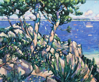 Rocks and Pines near La Ciotat