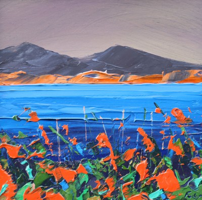 TIM FUDGE - montbretia coast, kerry