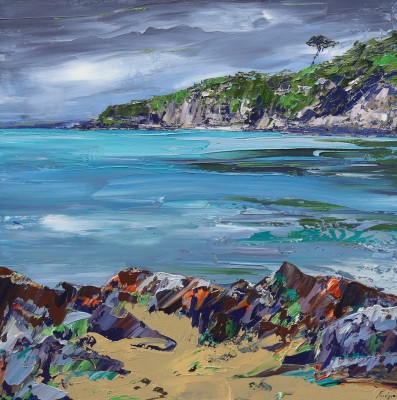 TIM FUDGE - summer green, cwm yr eglwys