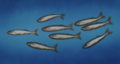 DONALD PROVAN - chase