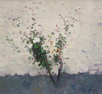 Wild Roses, Salares